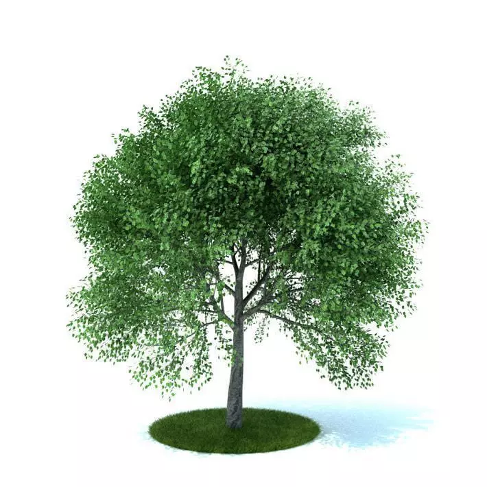 Fully Leafed Green Artificial Tree 3D model_0