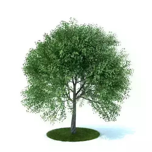 Fully Leafed Green Artificial Tree
