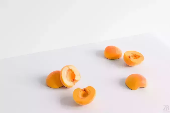 Apricot 3D model