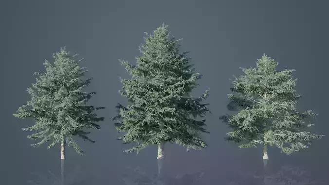 Deodar Cedar Trees Low-poly 3D model