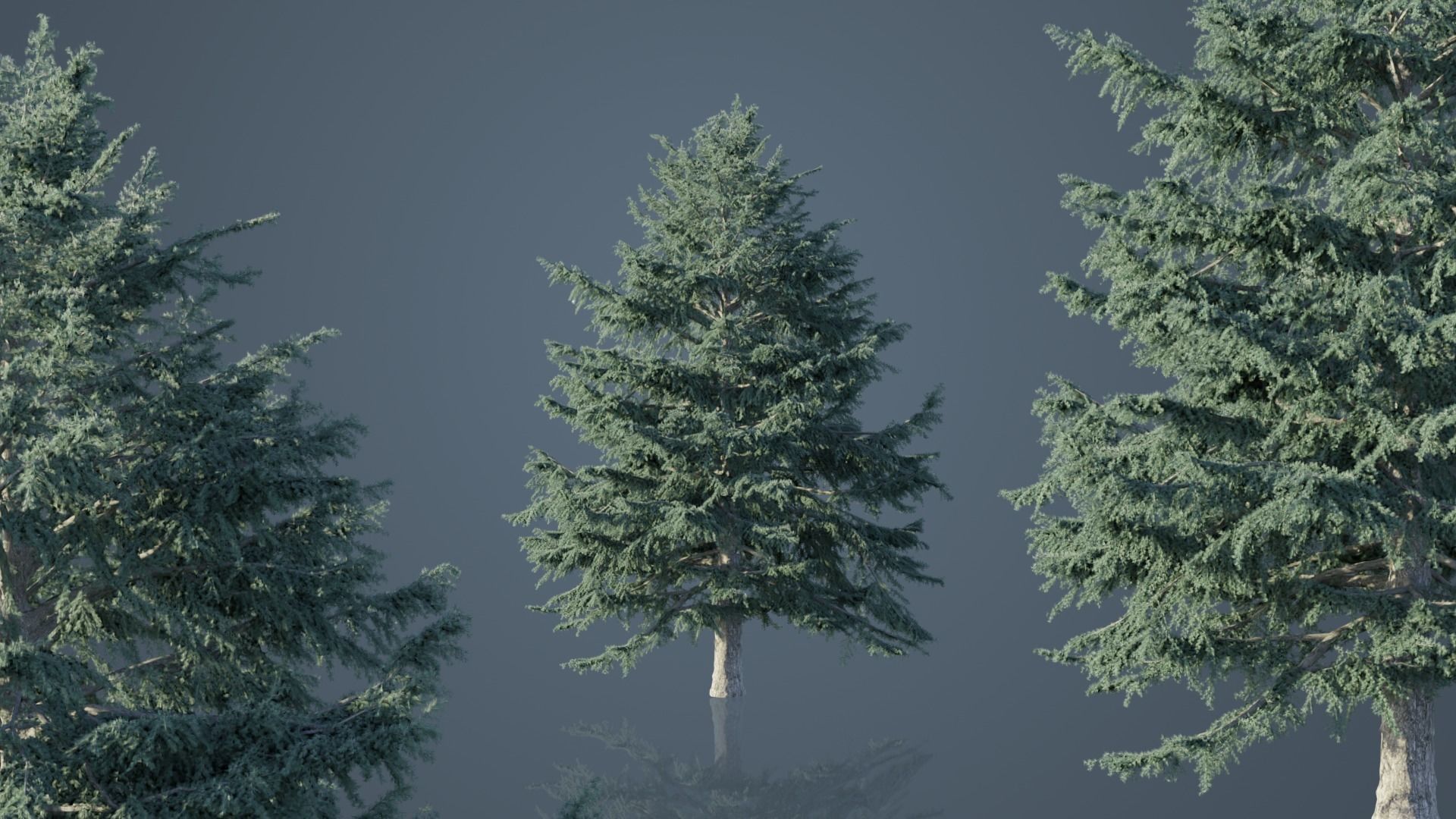 Deodar Cedar Trees Low-poly 3D model_1