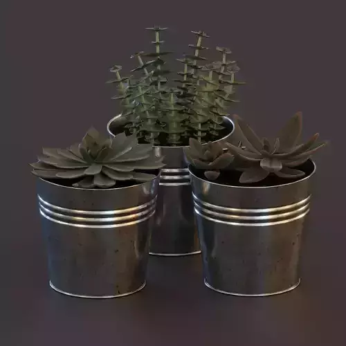 Plant Pot Low-Poly Set