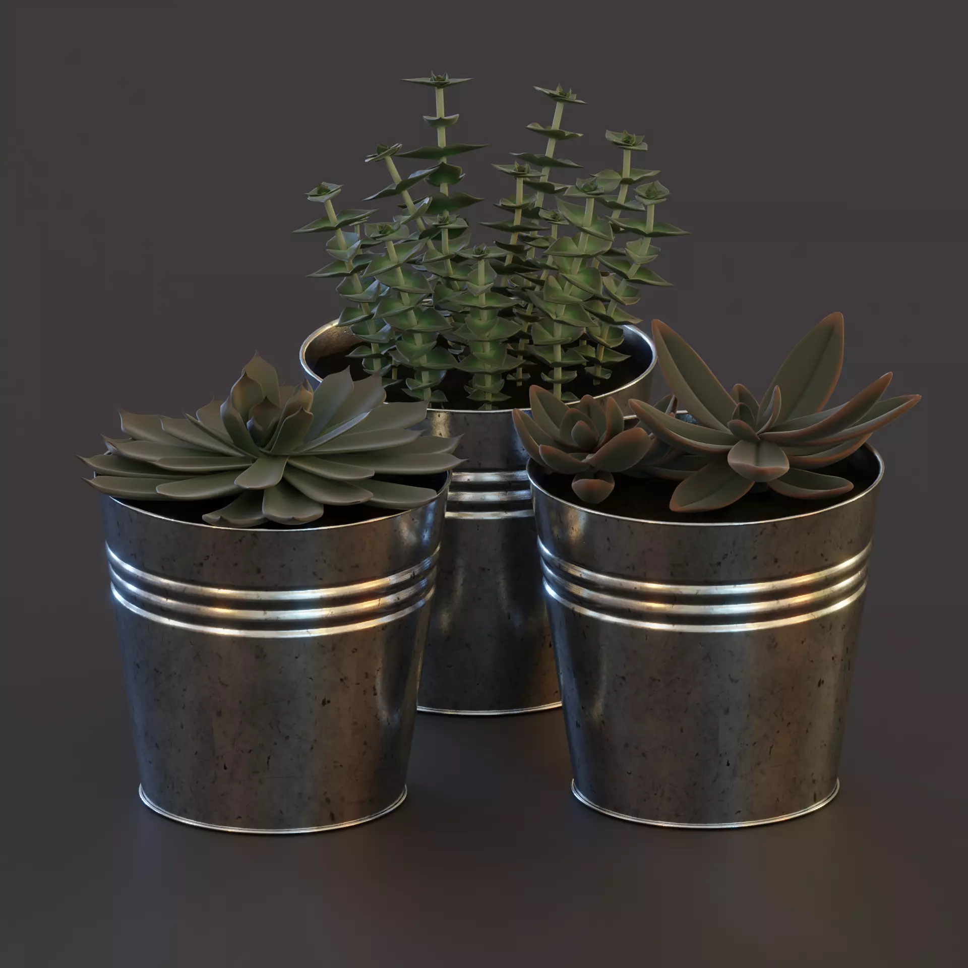 Plant Pot Low-Poly Set Low-poly 3D model_0