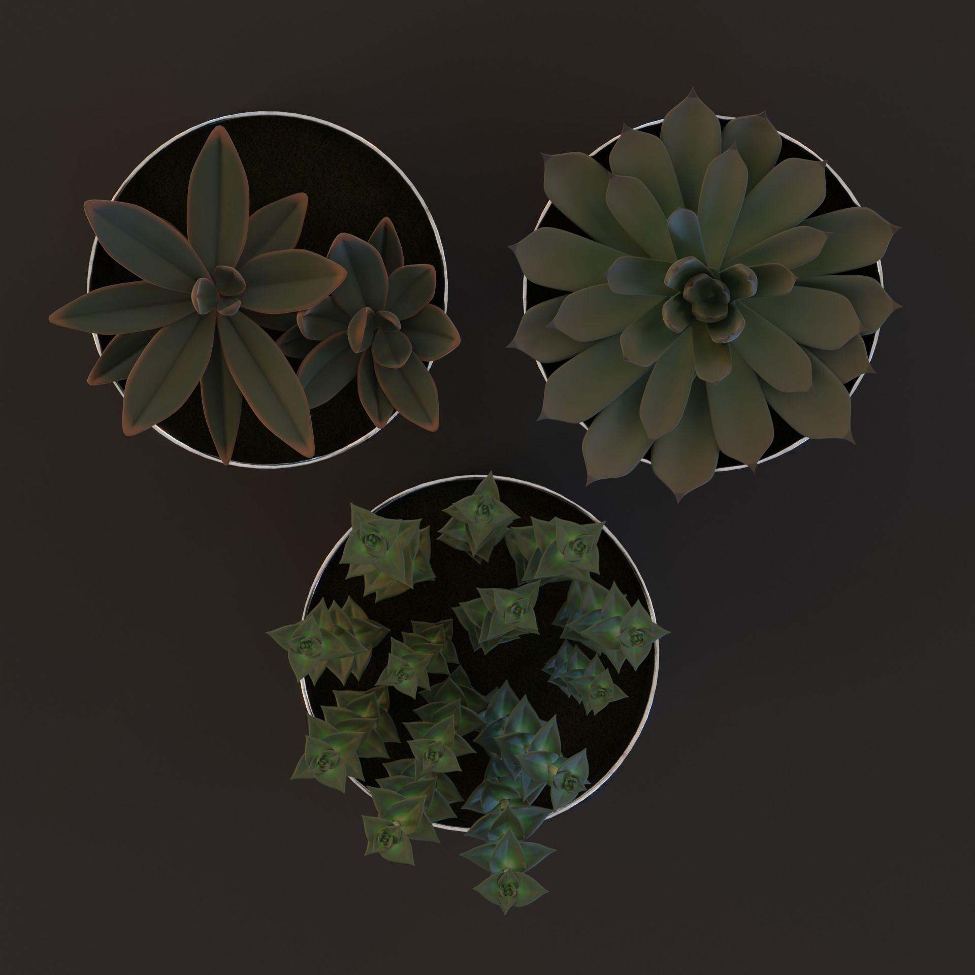 Plant Pot Low-Poly Set Low-poly 3D model_1