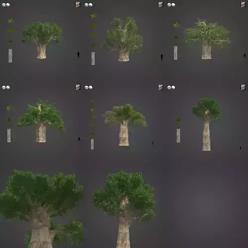 2021 PBR Baobab Collection - Adansonia Digitata  3D model