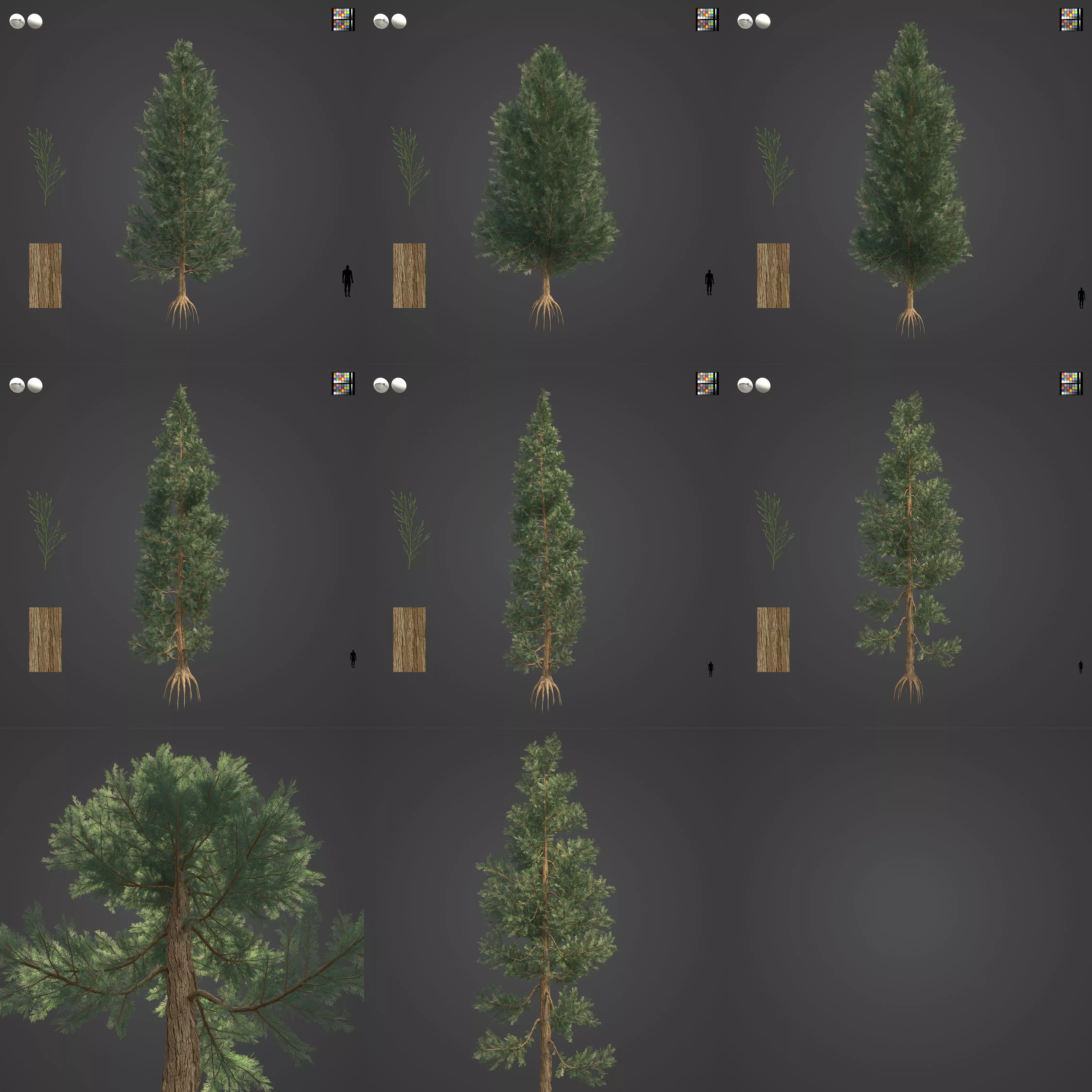 2021 PBR Incense Cedar Collection - Calocedrus Decurrens Free 3D model_0