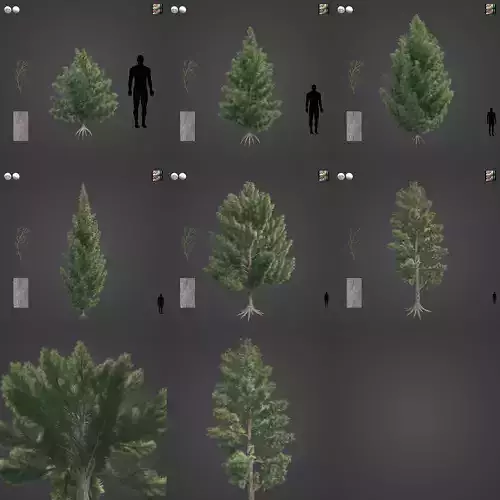 2021 PBR Red Juniper Collection - Juniperus Virginiana  3D model