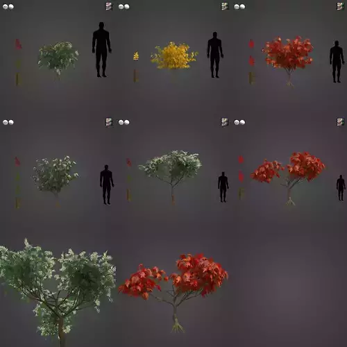 2021 PBR Staghorn Sumac Collection - Rhus Typhina 