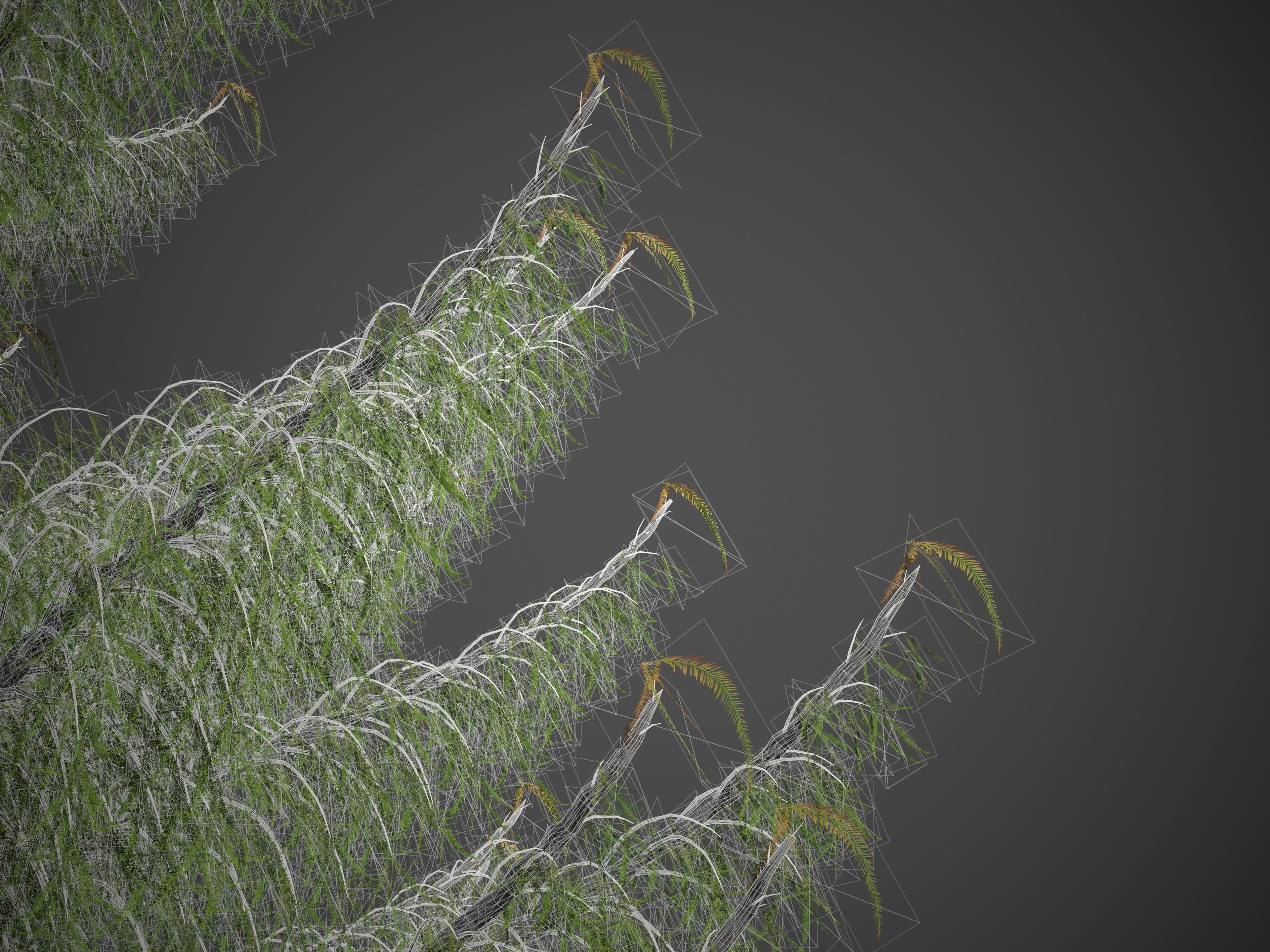 2021 PBR Bald Cypress Collection - Taxodium Distichum 3D model_9