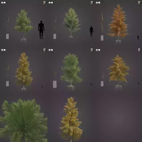 2021 PBR Bald Cypress Collection - Taxodium Distichum 3D model