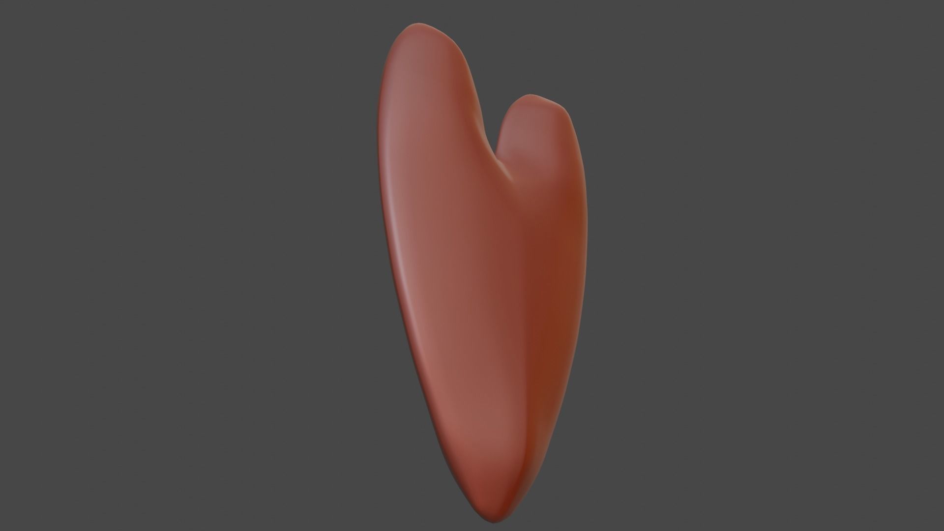 Heart 3D model_6