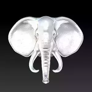 African animal-Elephant