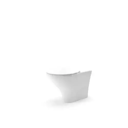 White Modern Toilet Bowl
