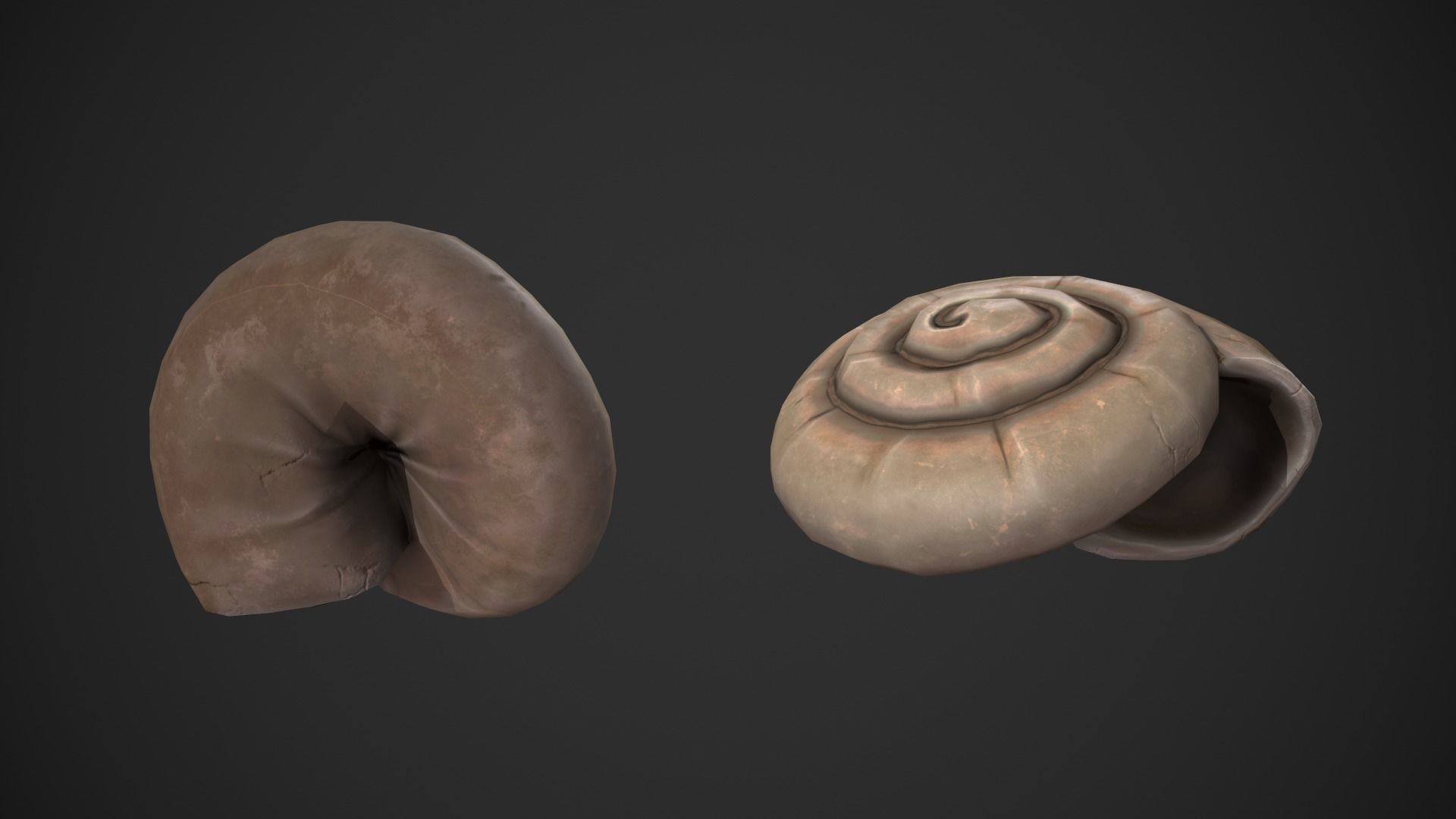 Ammonite Sea Shell Low-poly 3D model_5