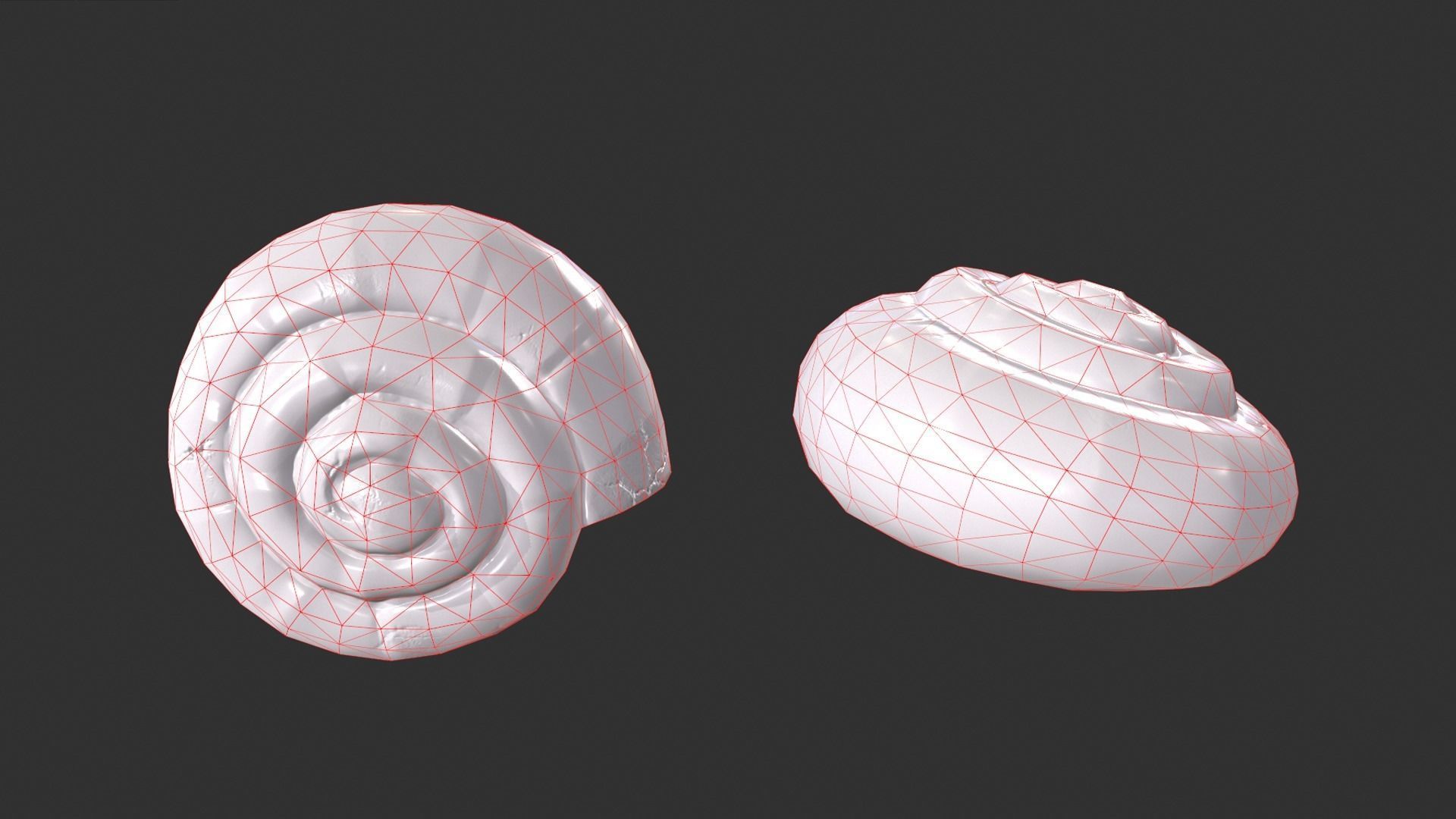 Ammonite Sea Shell Low-poly 3D model_4
