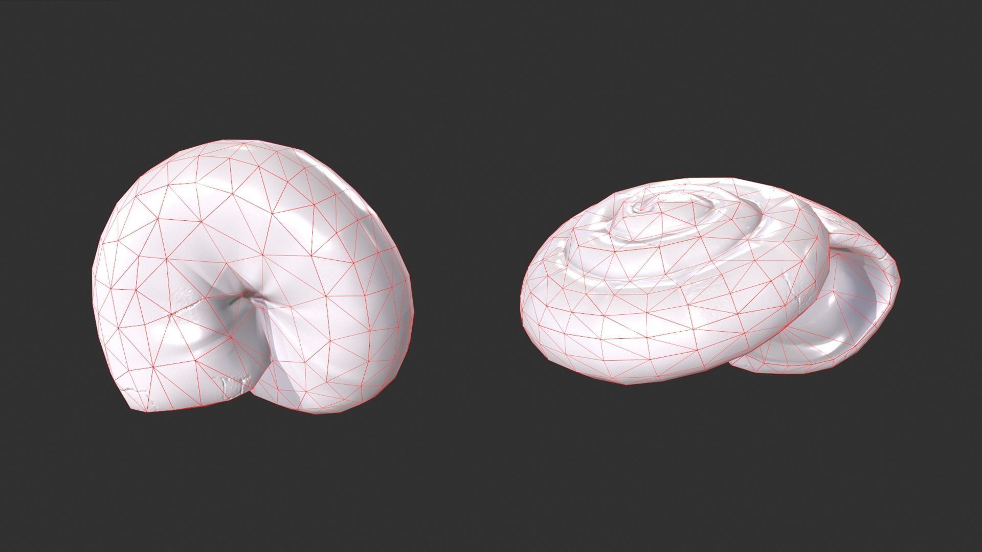 Ammonite Sea Shell Low-poly 3D model_6