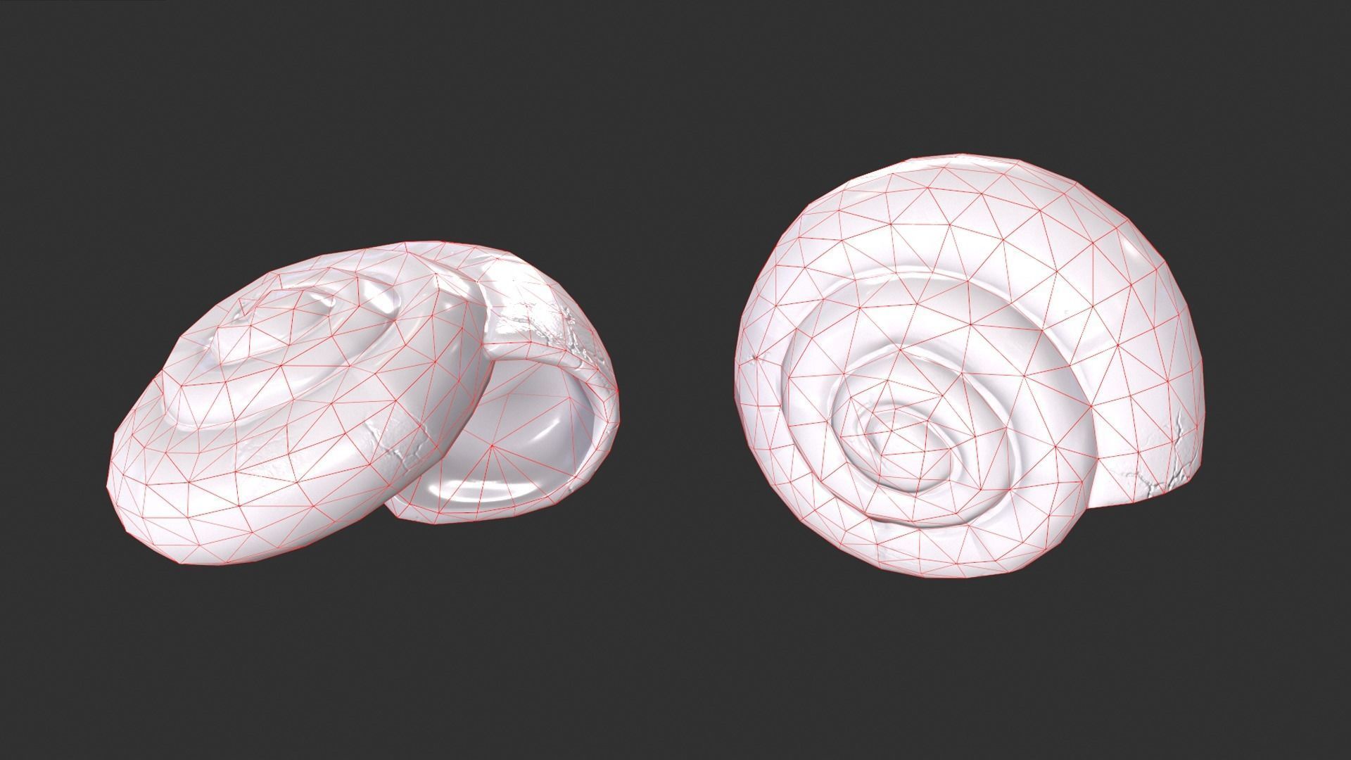 Ammonite Sea Shell Low-poly 3D model_2