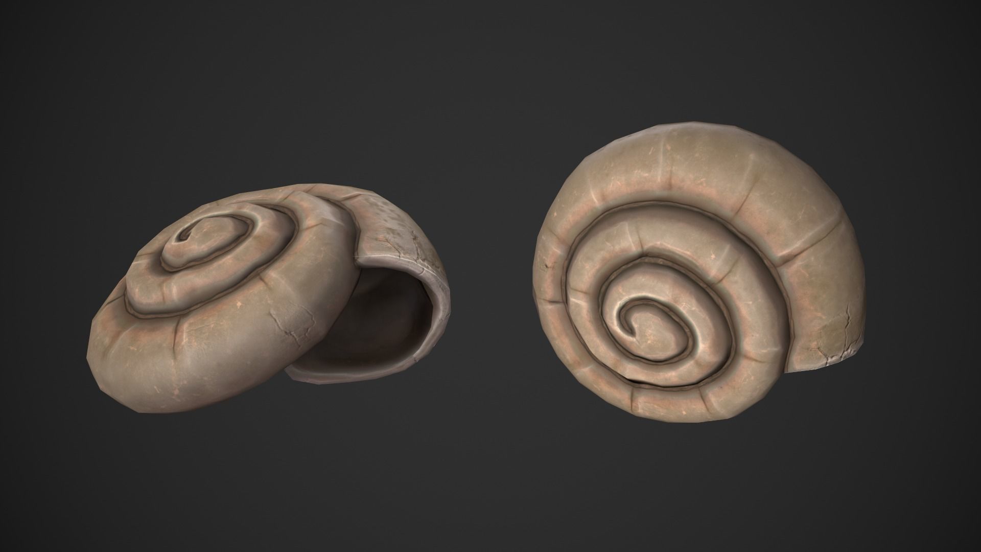 Ammonite Sea Shell Low-poly 3D model_1