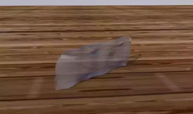 Plastic Bag With Sealer