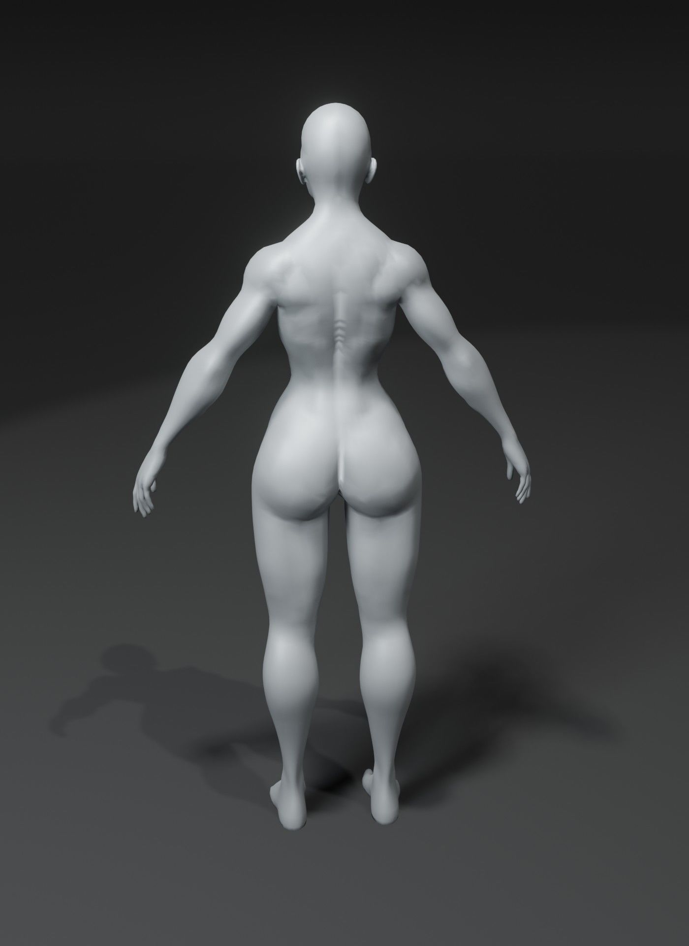 Superhero Muscular Human Male Female Body Base Mesh 10k Polygons 3D Model Collection_33