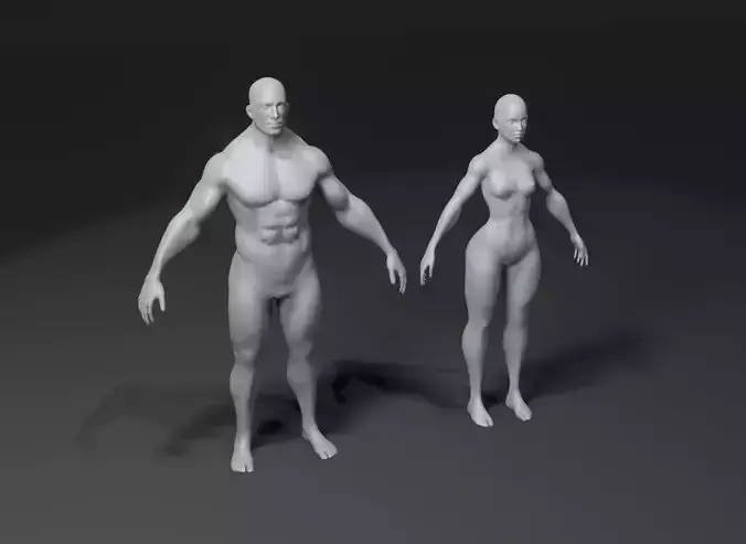 Superhero Muscular Human Male Female Body Base Mesh 10k Polygons 3D Model Collection