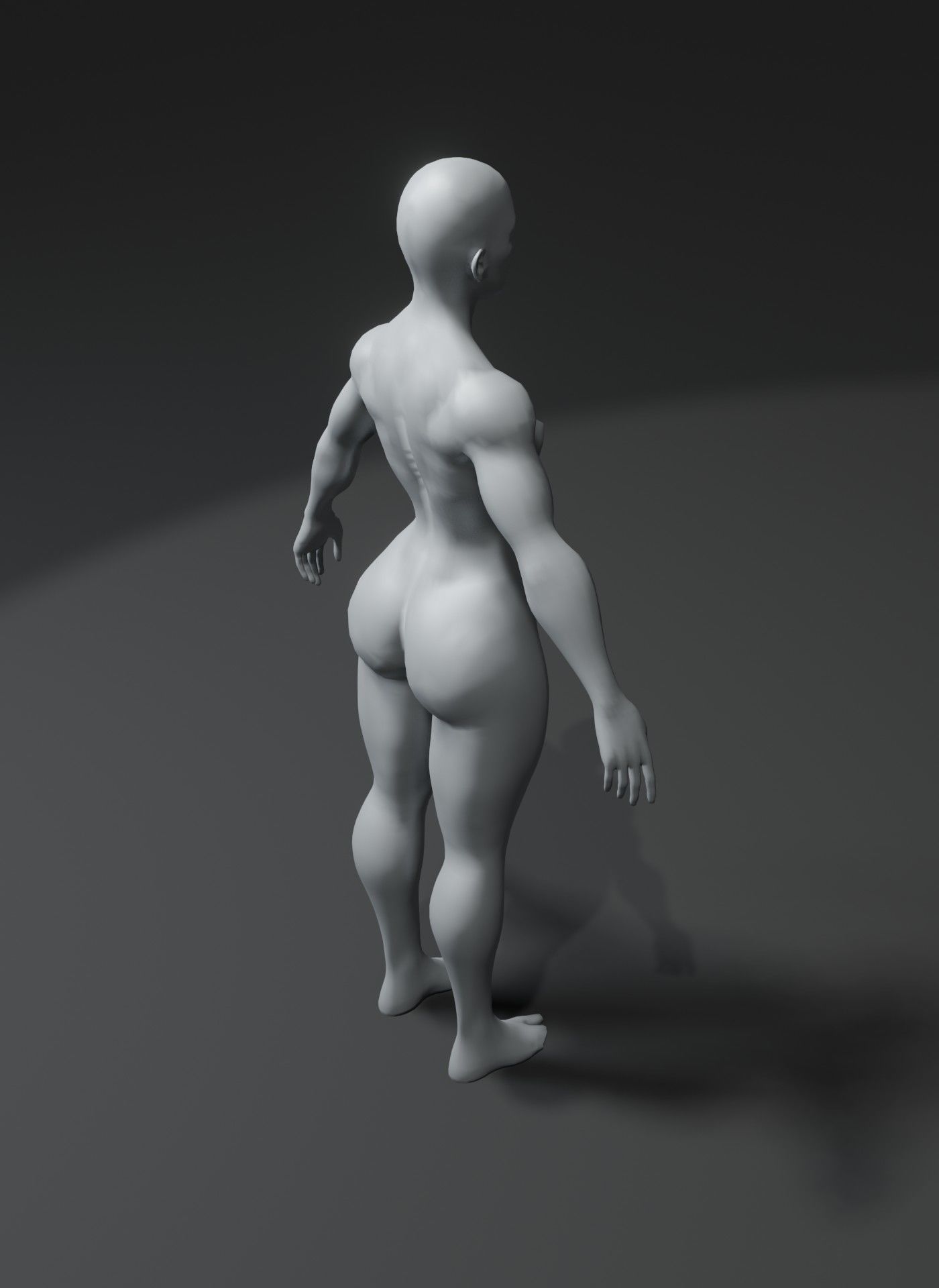 Superhero Muscular Human Male Female Body Base Mesh 10k Polygons 3D Model Collection_27