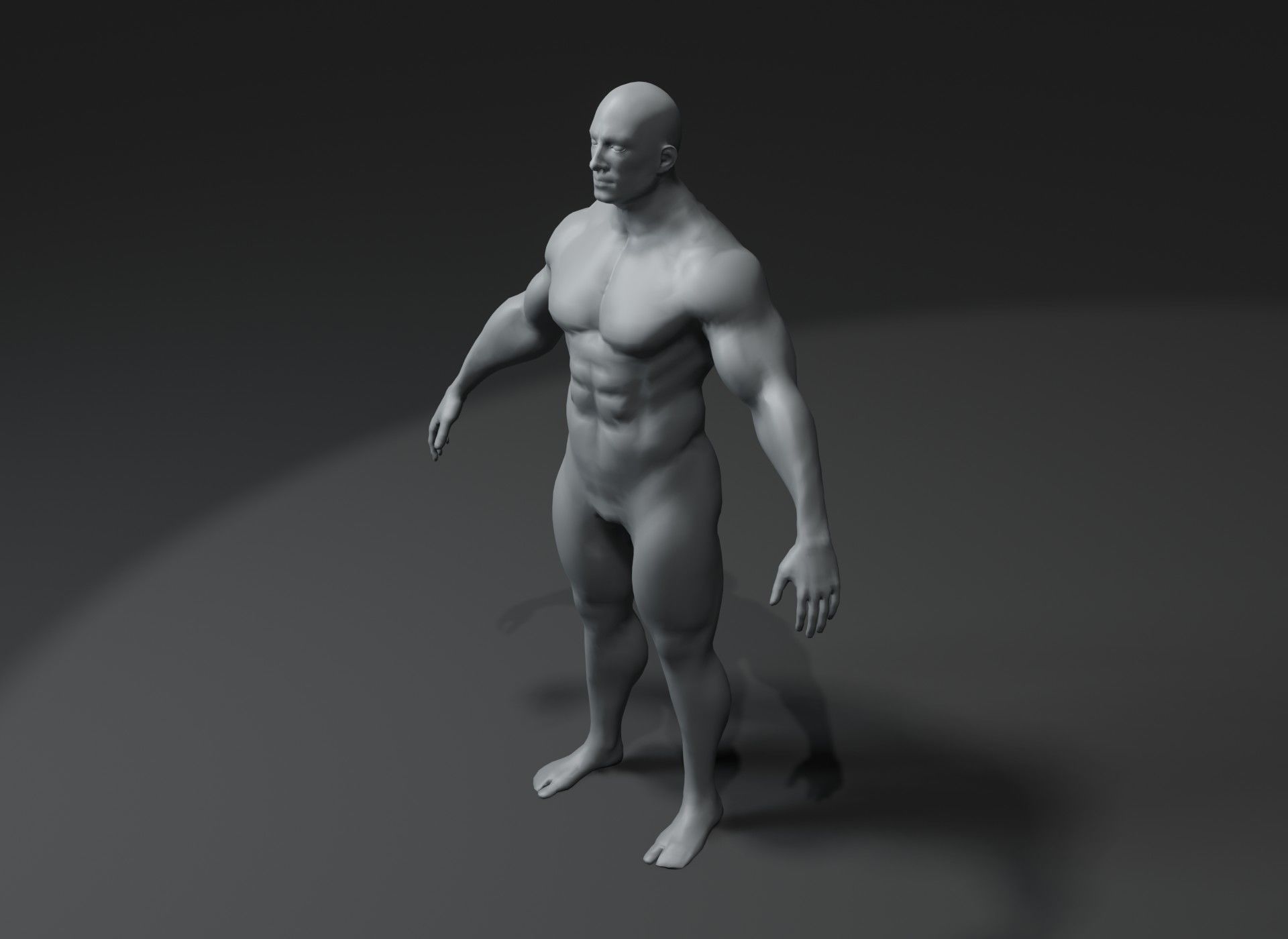 Superhero Muscular Human Male Female Body Base Mesh 10k Polygons 3D Model Collection_8