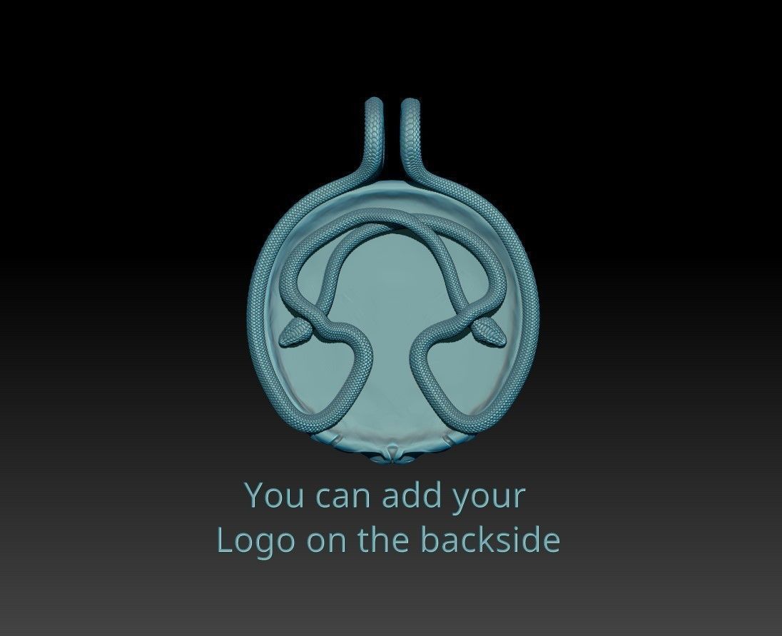 Ankh Coin Pendant with Snakes hook 3D print model_5