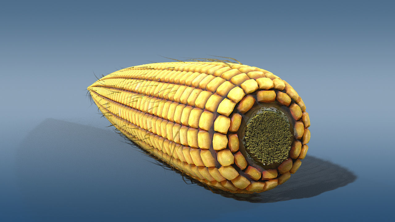 old corn low poly Low-poly 3D model_4