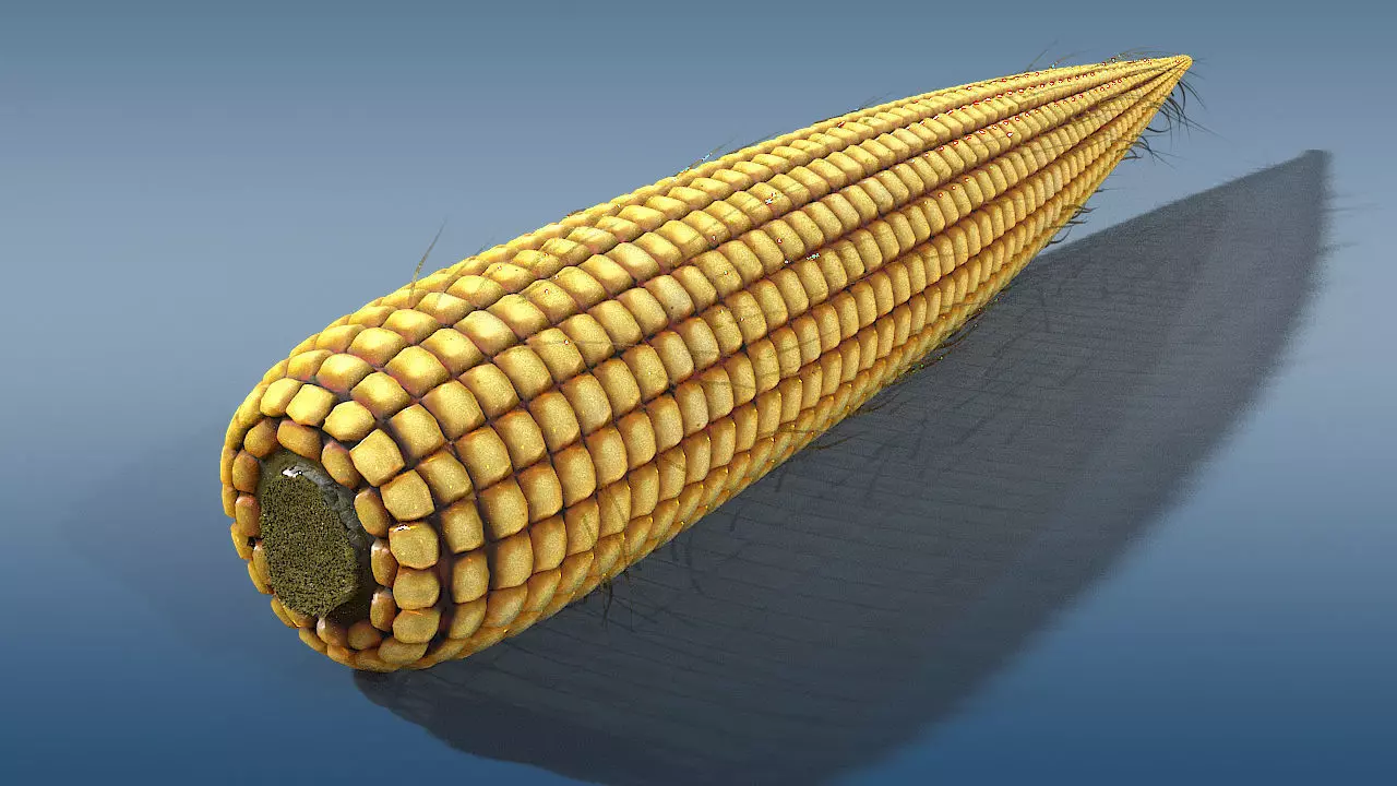 old corn low poly Low-poly 3D model_0