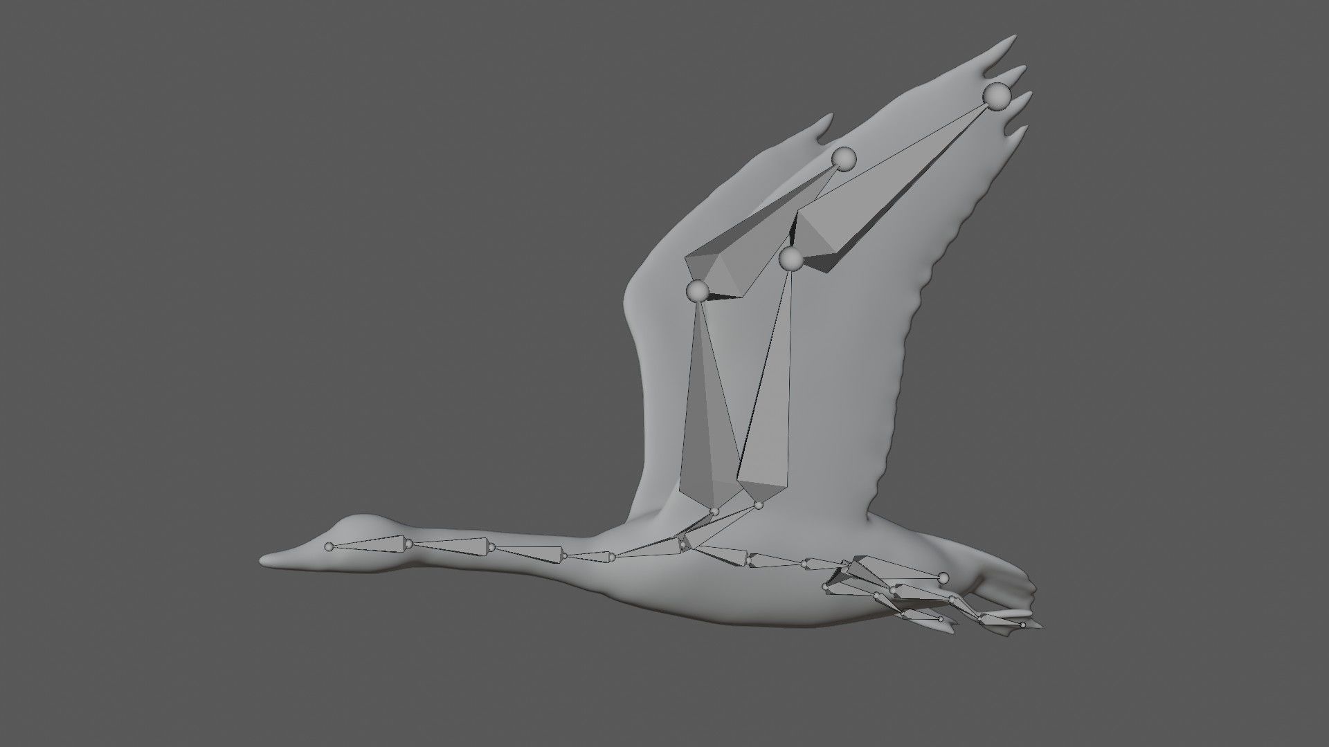 Canadian Goose 3D model_8
