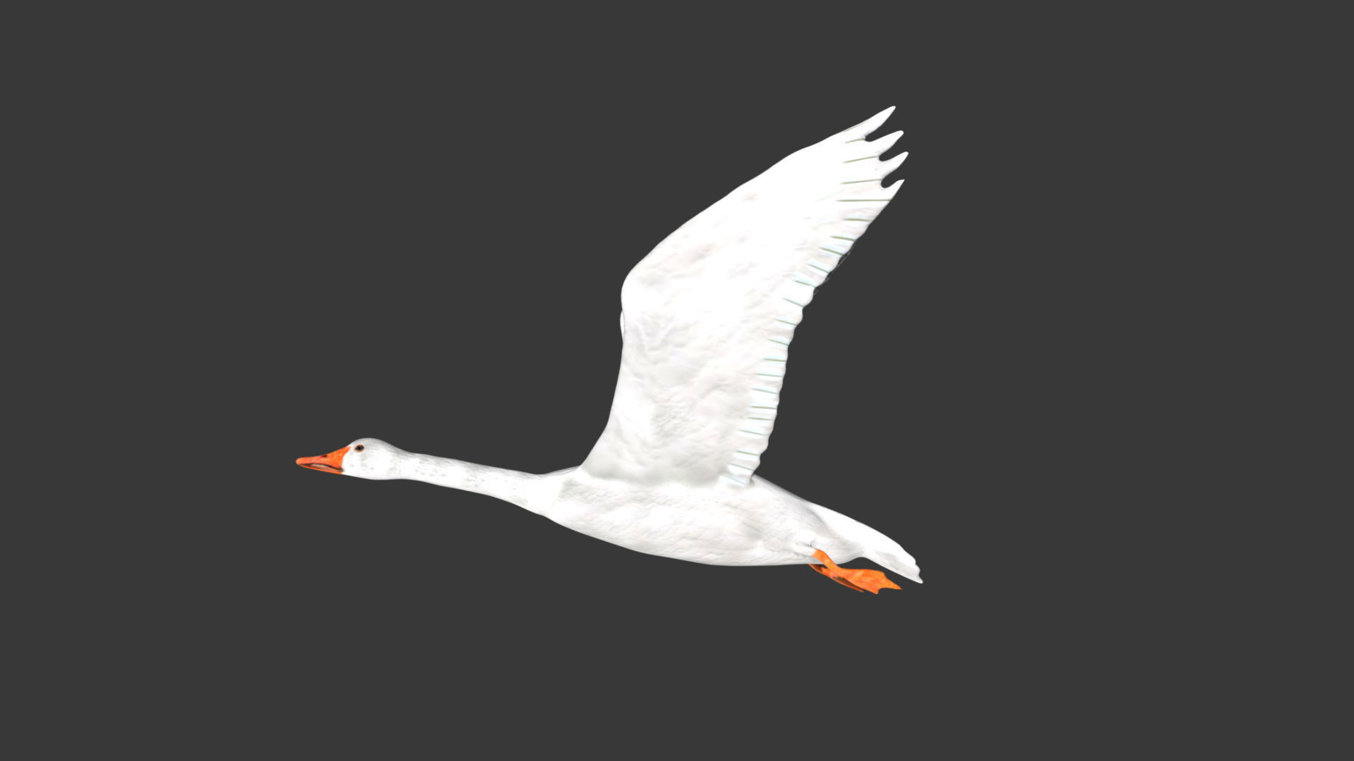 Goose flying in sky 3D model_1