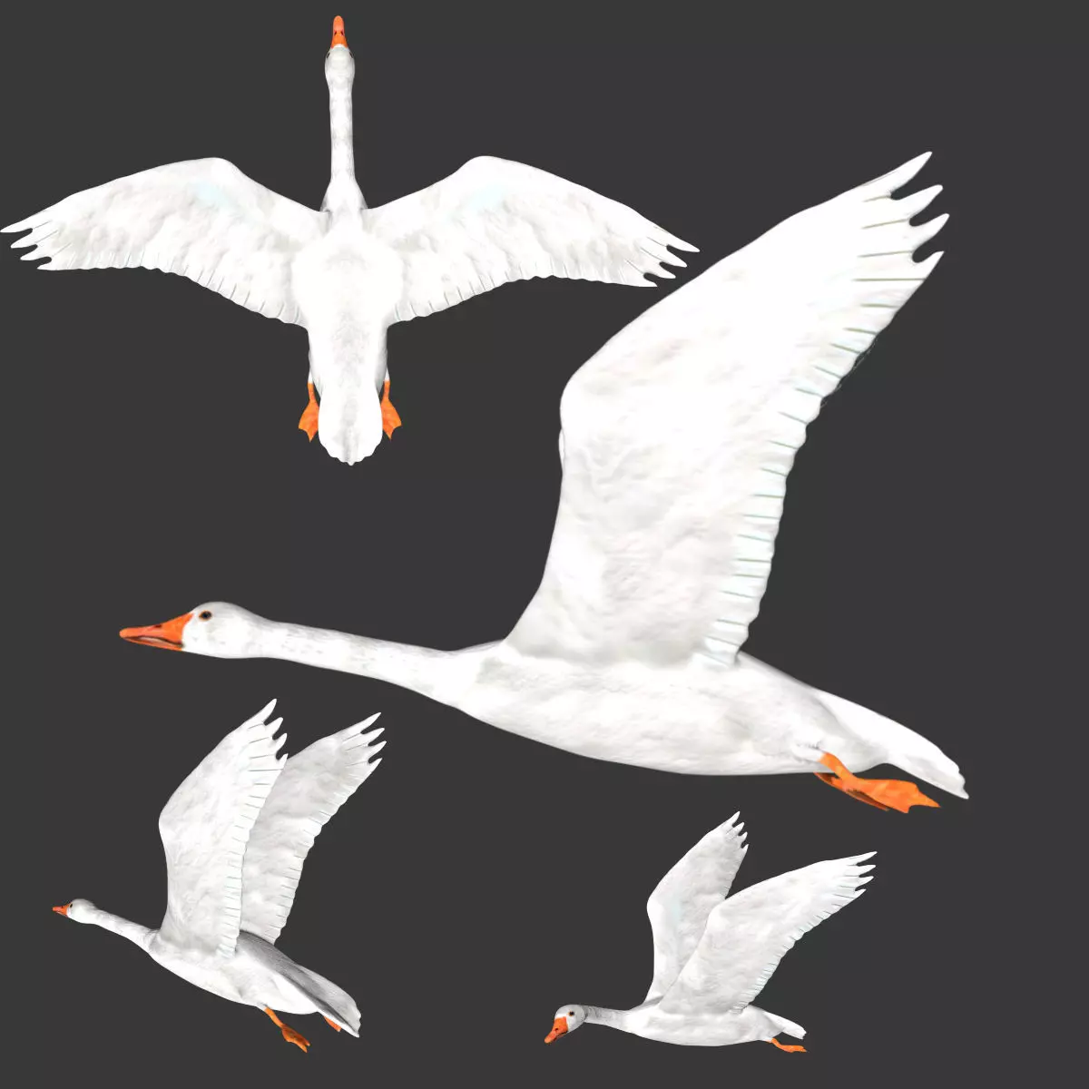 Goose flying in sky 3D model_0