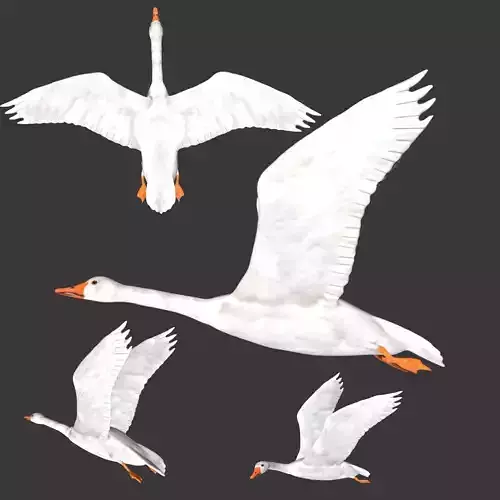 Goose flying in sky 3D model