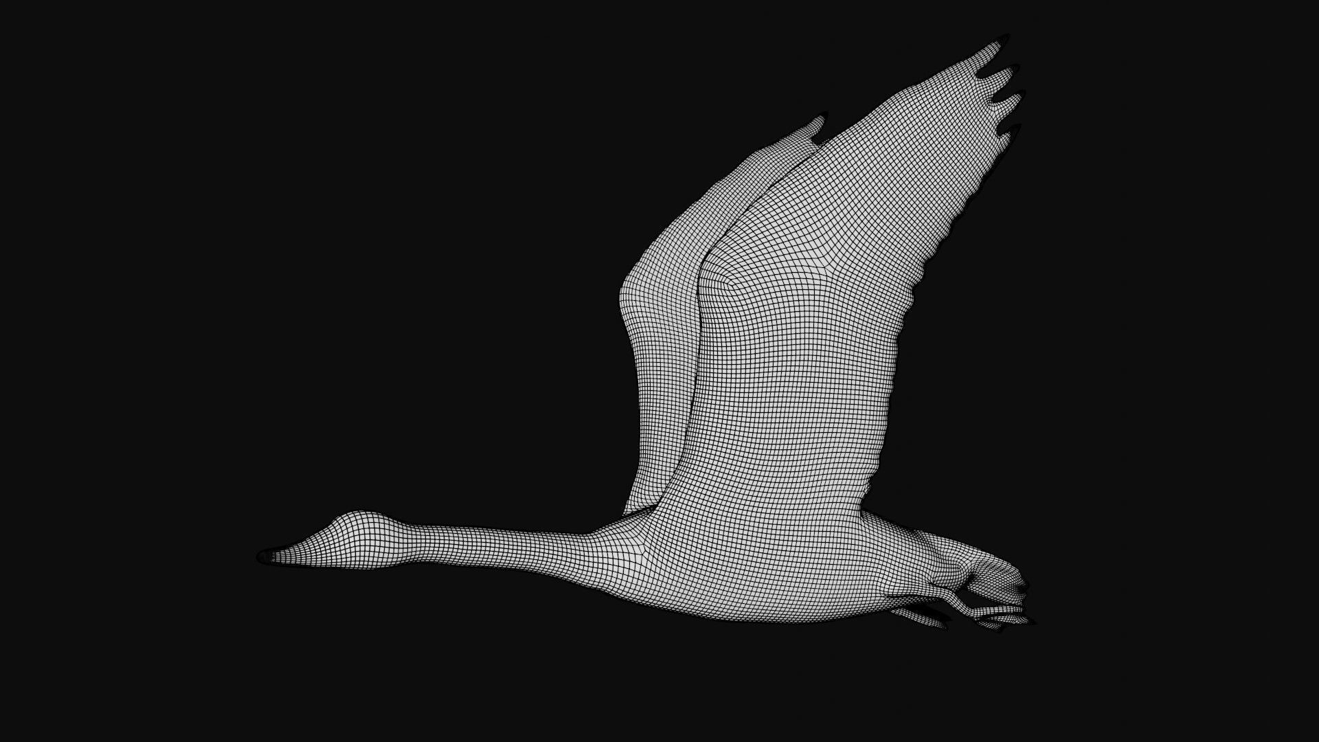 Goose flying in sky 3D model_9
