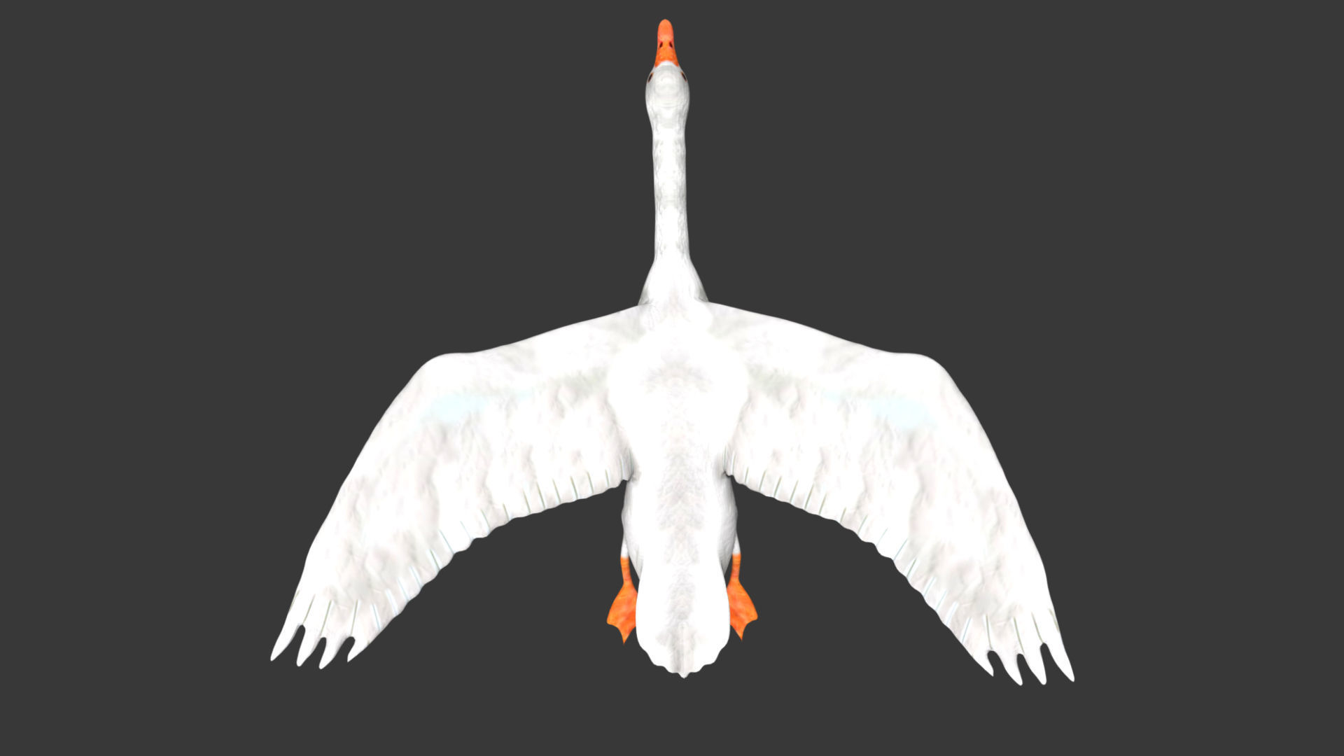 Goose flying in sky 3D model_4