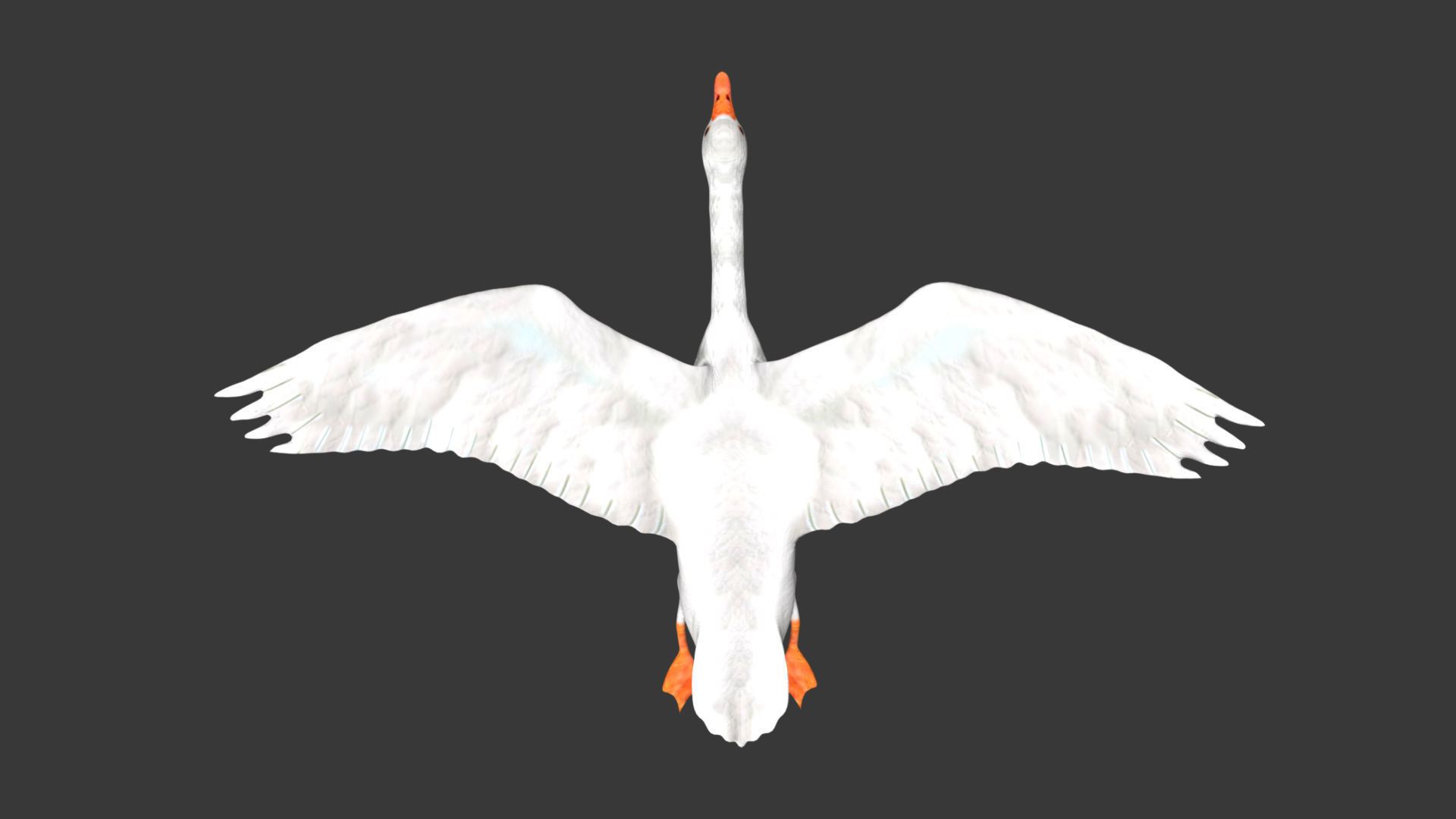 Goose flying in sky 3D model_3