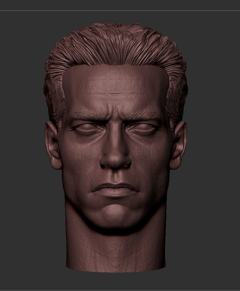 Terminator - Arnold Schwarzenegger Head  3D print model_4