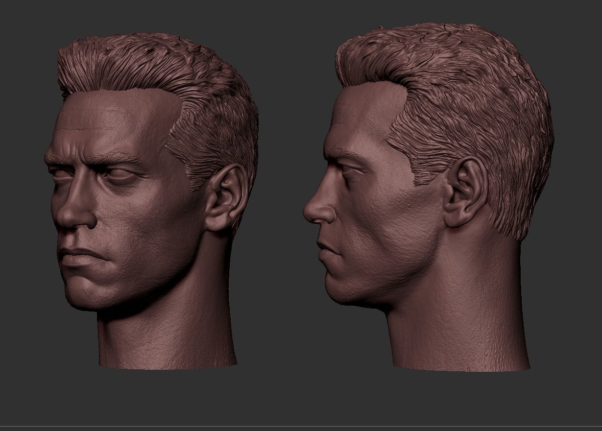 Terminator - Arnold Schwarzenegger Head  3D print model_6
