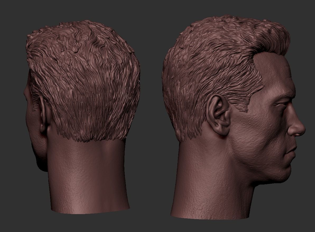 Terminator - Arnold Schwarzenegger Head  3D print model_7