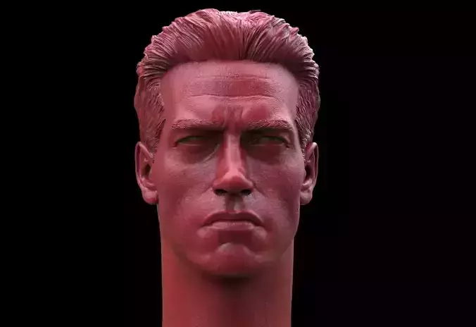 Terminator - Arnold Schwarzenegger Head  3D print model