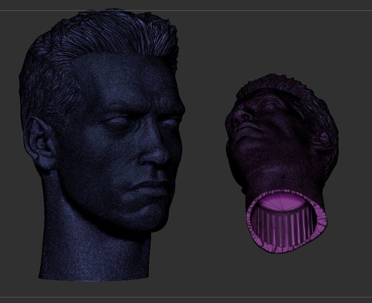 Terminator - Arnold Schwarzenegger Head  3D print model_9