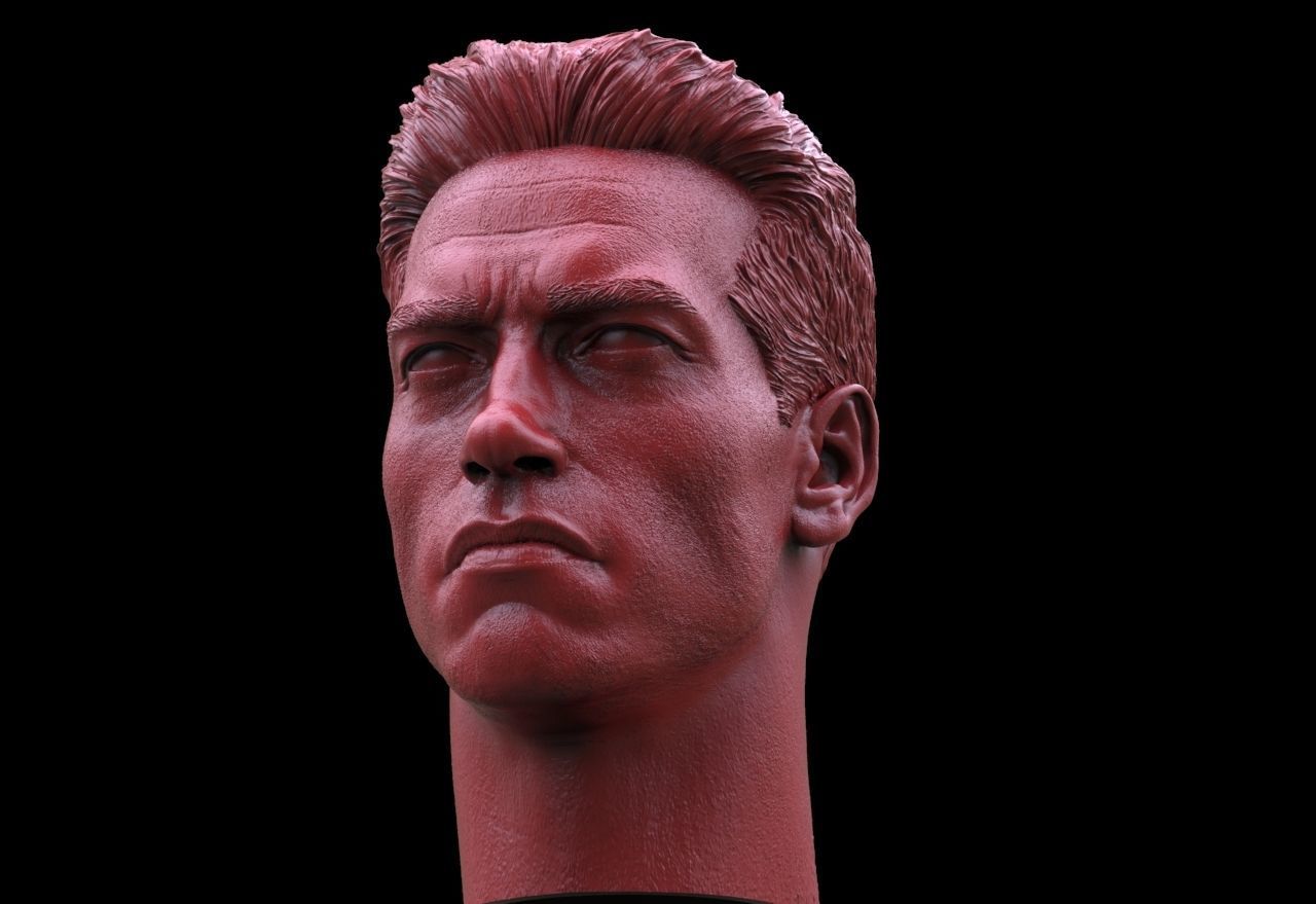 Terminator - Arnold Schwarzenegger Head  3D print model_1