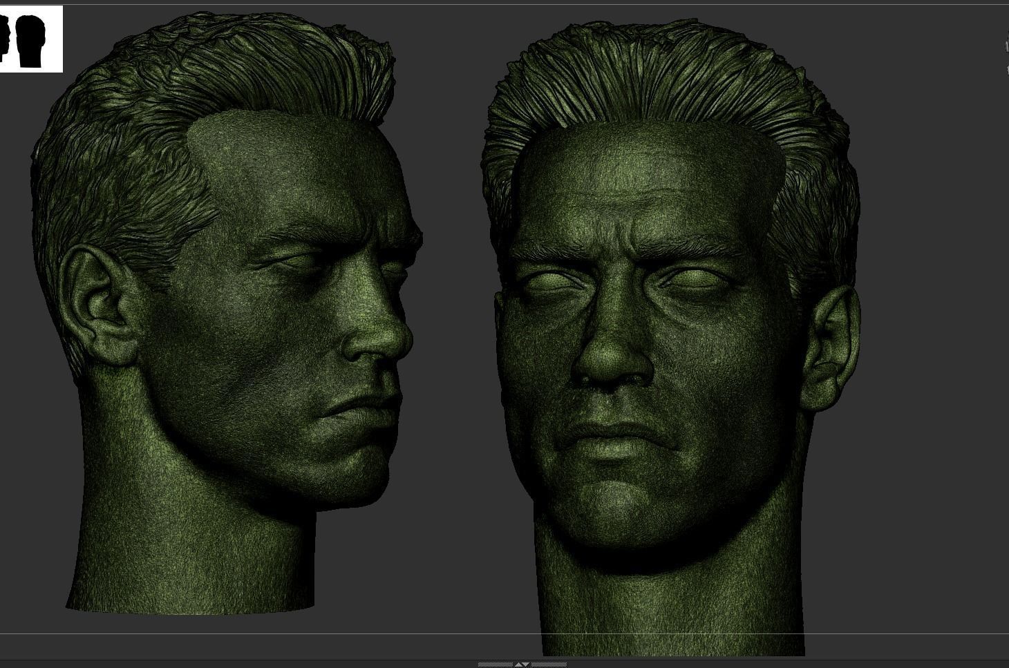 Terminator - Arnold Schwarzenegger Head  3D print model_8