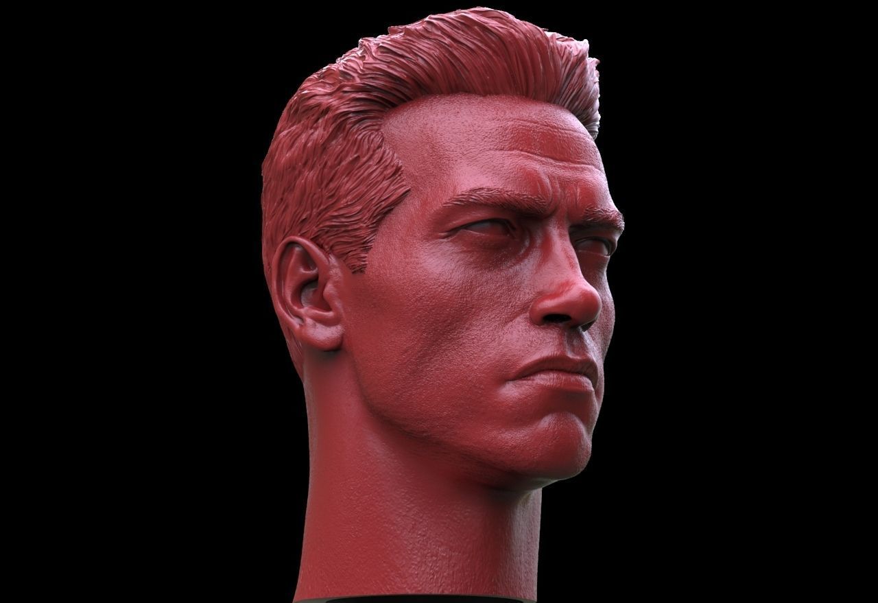 Terminator - Arnold Schwarzenegger Head  3D print model_2