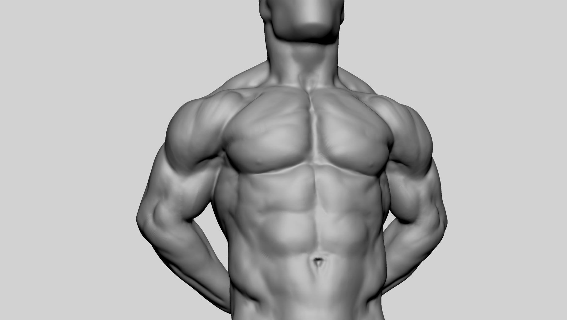 Male Torso Printable v2 3D print model_8
