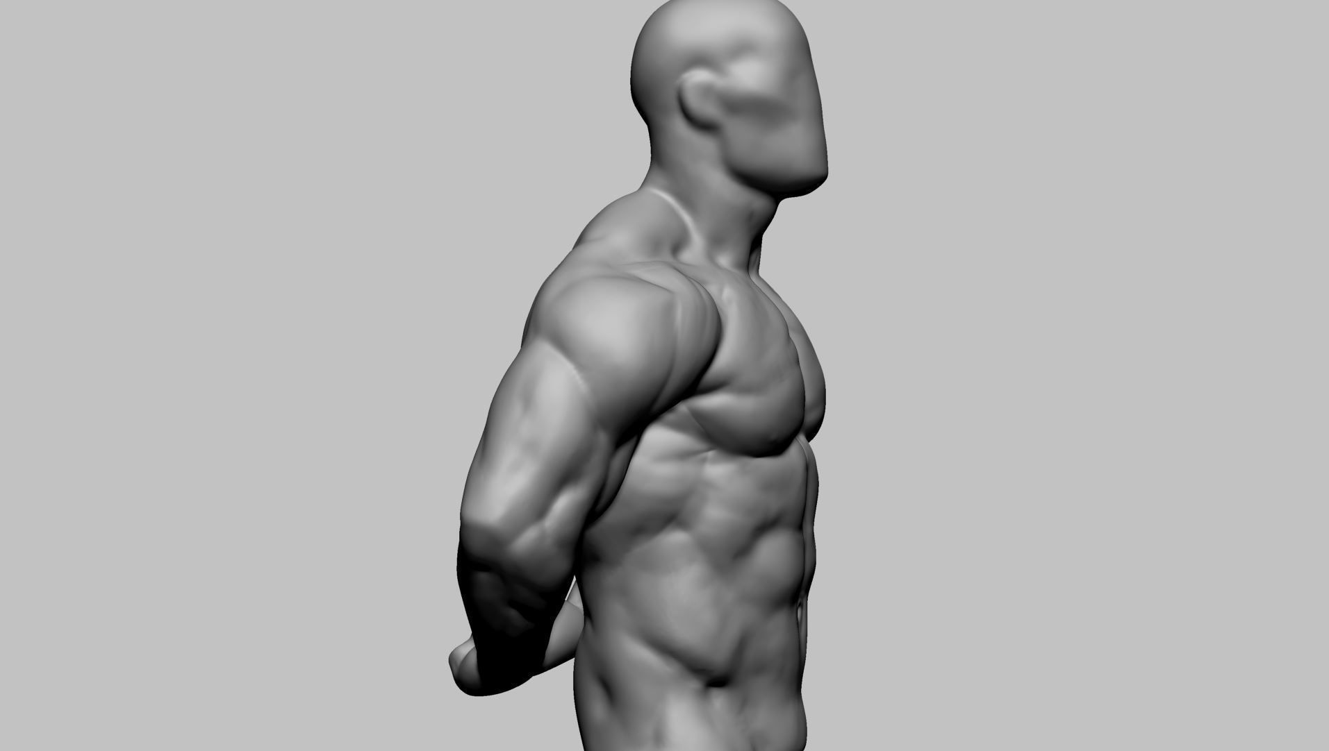 Male Torso Printable v2 3D print model_2