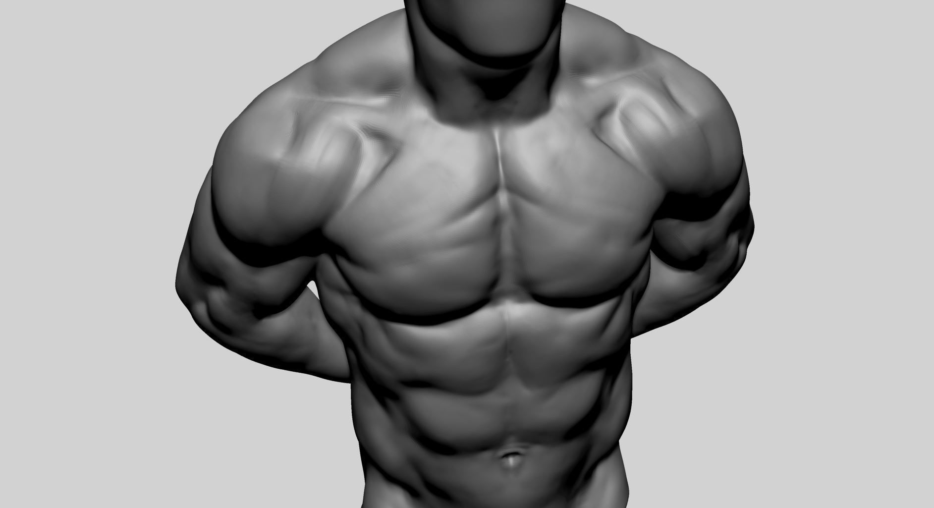 Male Torso Printable v2 3D print model_6