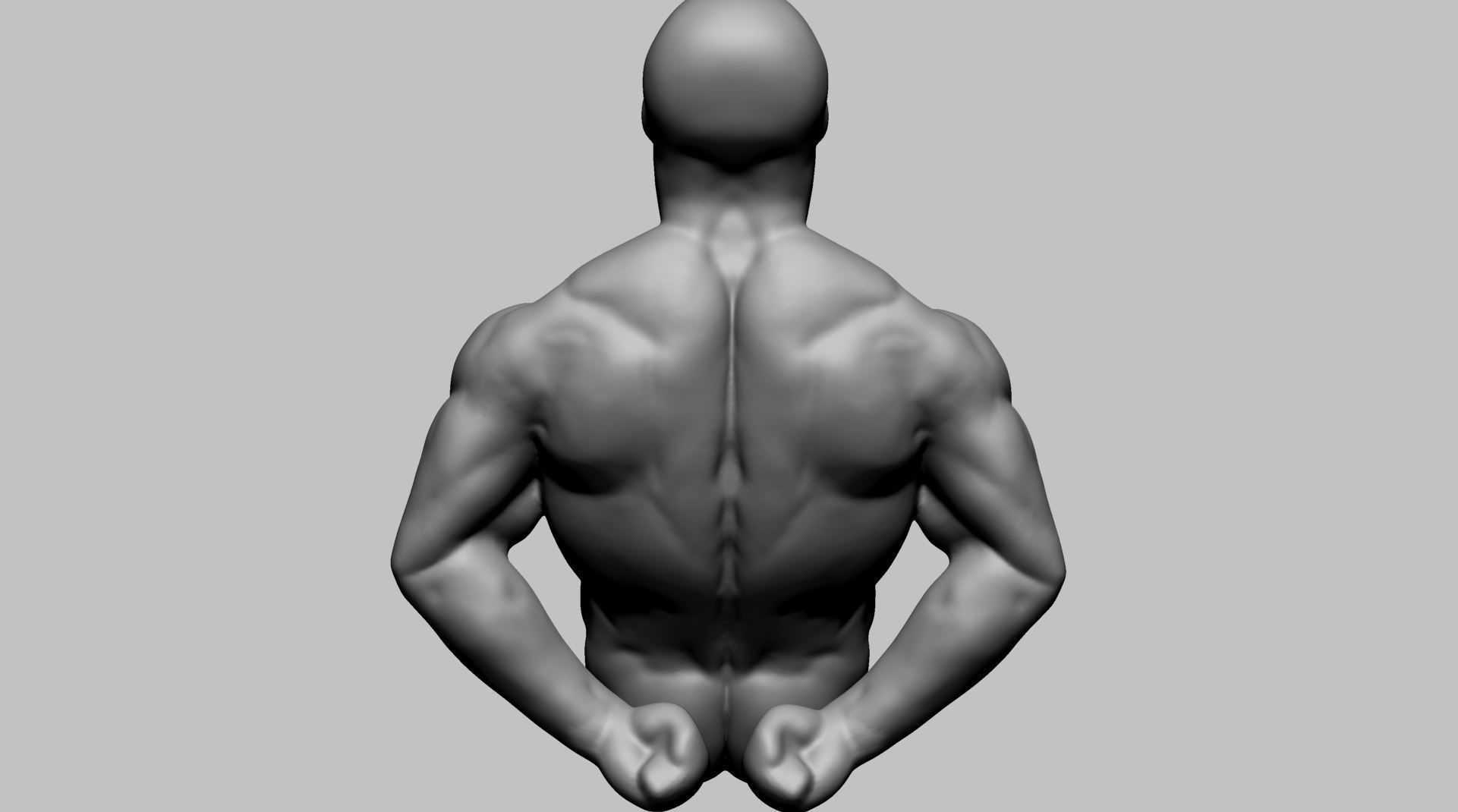 Male Torso Printable v2 3D print model_4