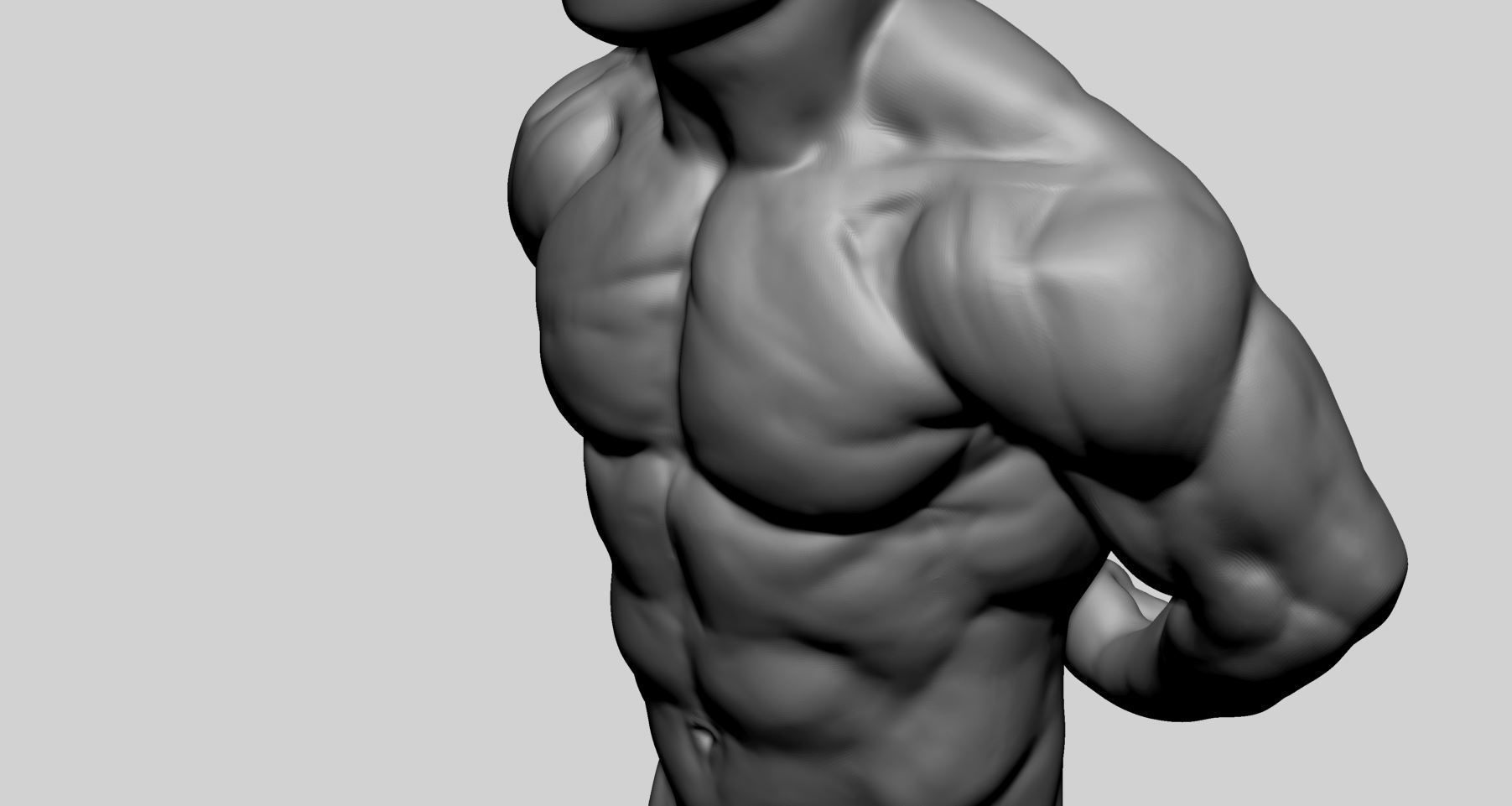 Male Torso Printable v2 3D print model_7